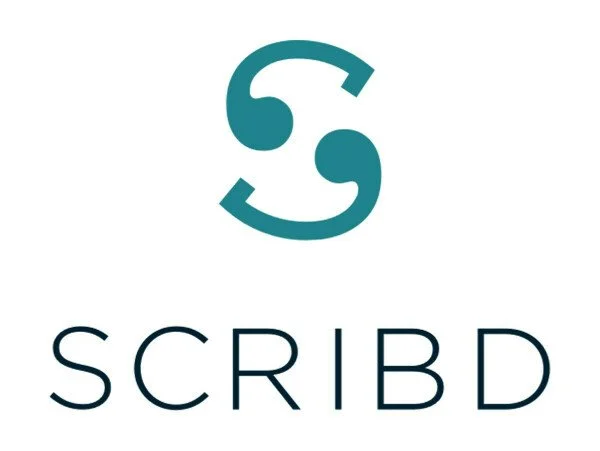 Partner logo 6